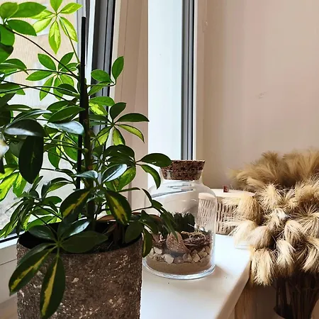 Cozyhome Lux Братислава